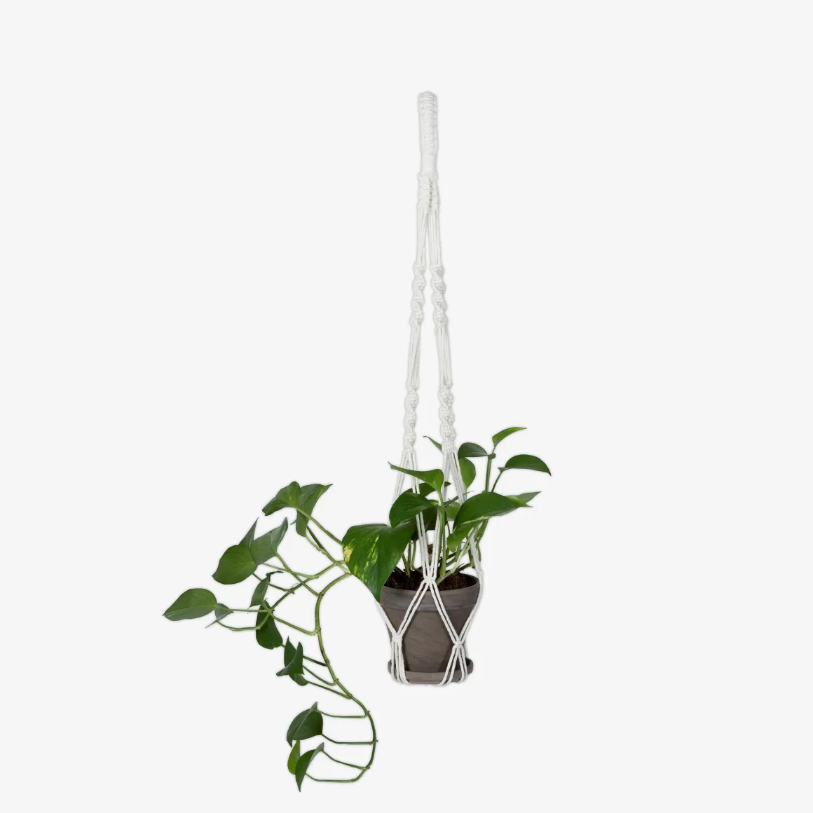 Ampel Enkel Makramé Vit