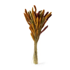 Bukett Setaria 70cm Mix