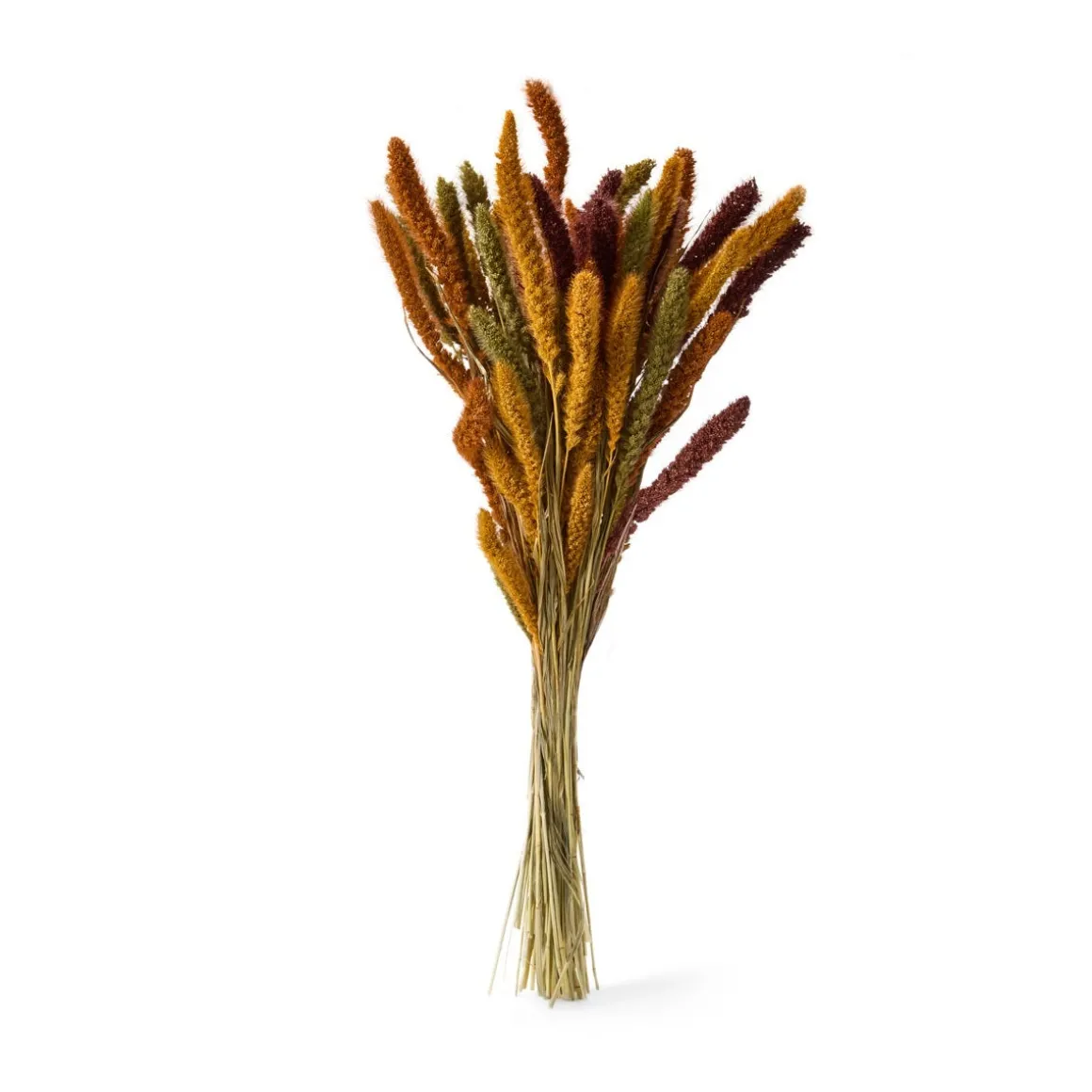 Bukett Setaria 70cm Mix