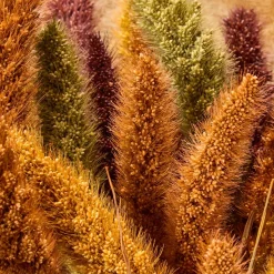 Bukett Setaria 70cm Mix