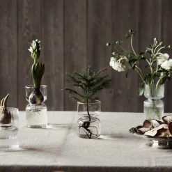 Hyacint Vas Klarglas Räfflad Mellan