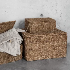 Korg Hogla Lock 17x25cm