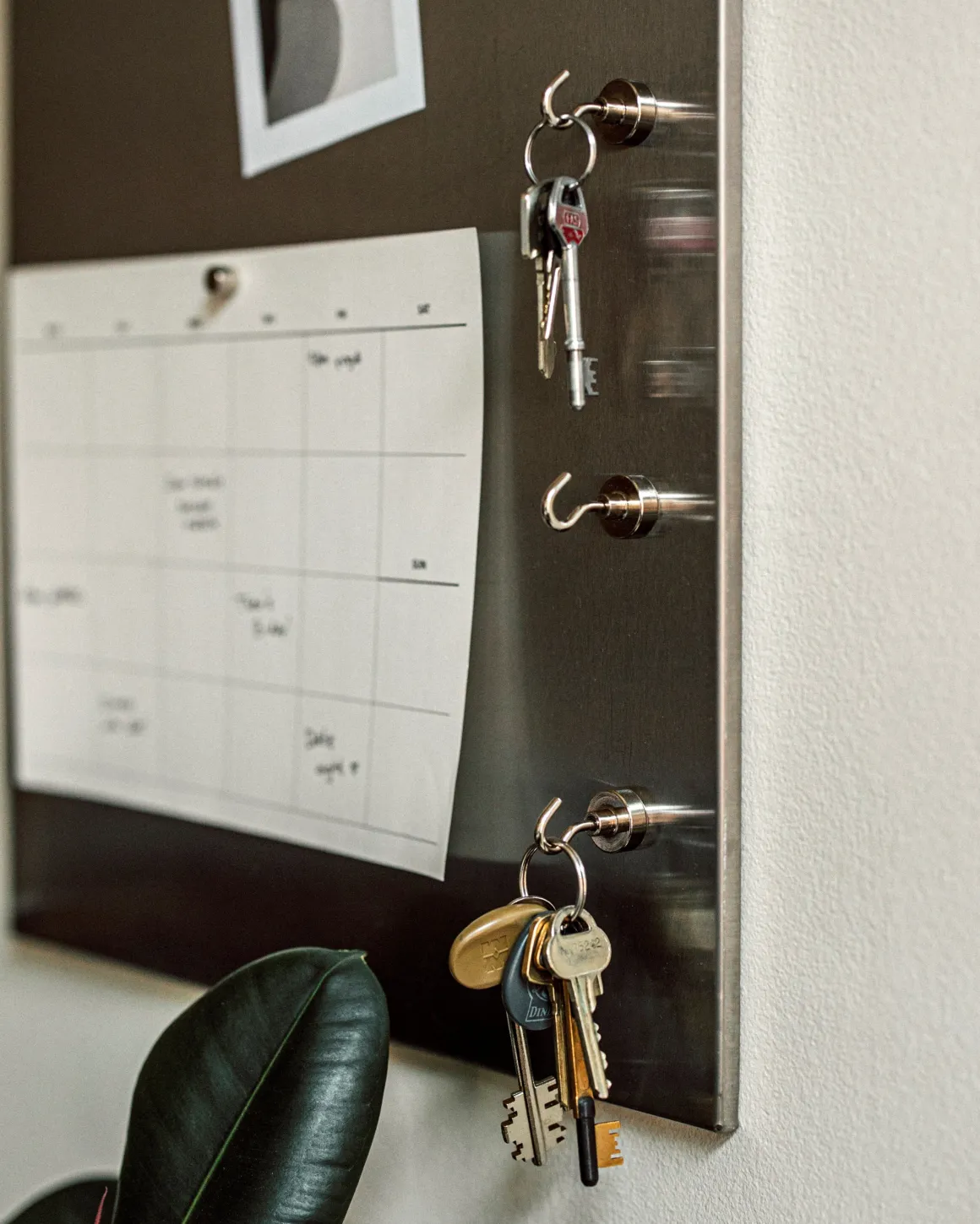 Krok Magnet 2x3,8cm Rostfritt Stål