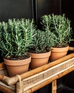 Kruka Terrakotta 13,5cm