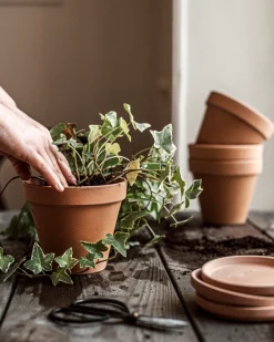 Kruka Terrakotta 13,5cm