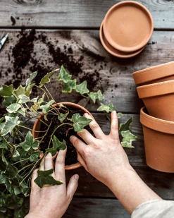 Kruka Terrakotta 13,5cm