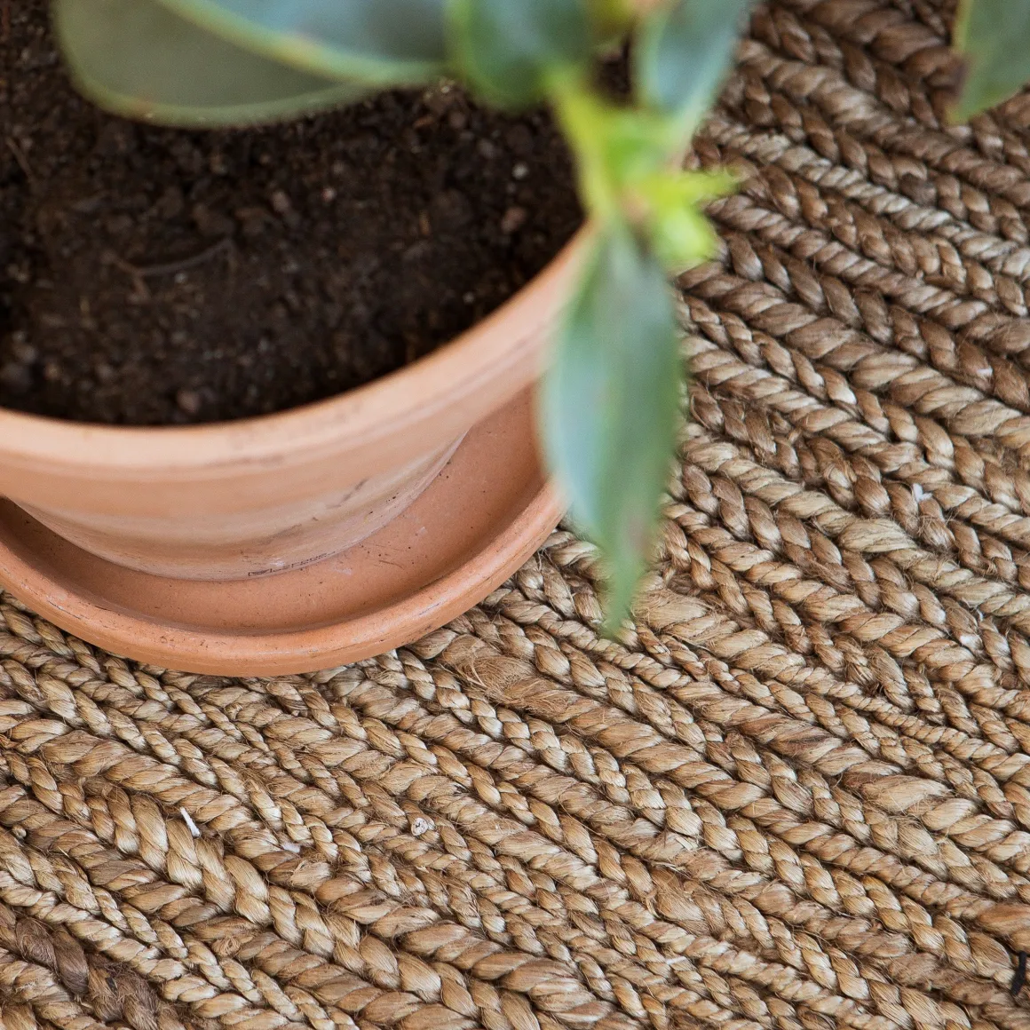 Kruka Terrakotta 18cm