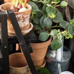 Kruka Terrakotta 18cm