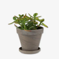 Kruka Terrakotta 13,5cm Grå