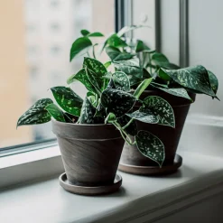 Kruka Terrakotta 13,5cm Grå