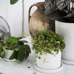 Kruka/Fat Polystone 13cm Vit