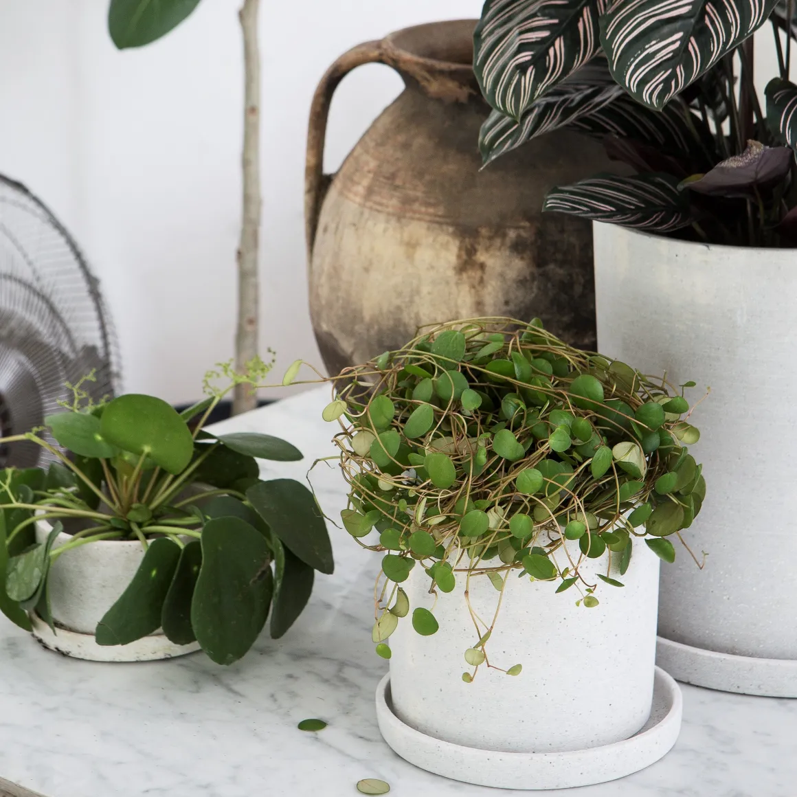 Kruka/Fat Polystone 13cm Vit