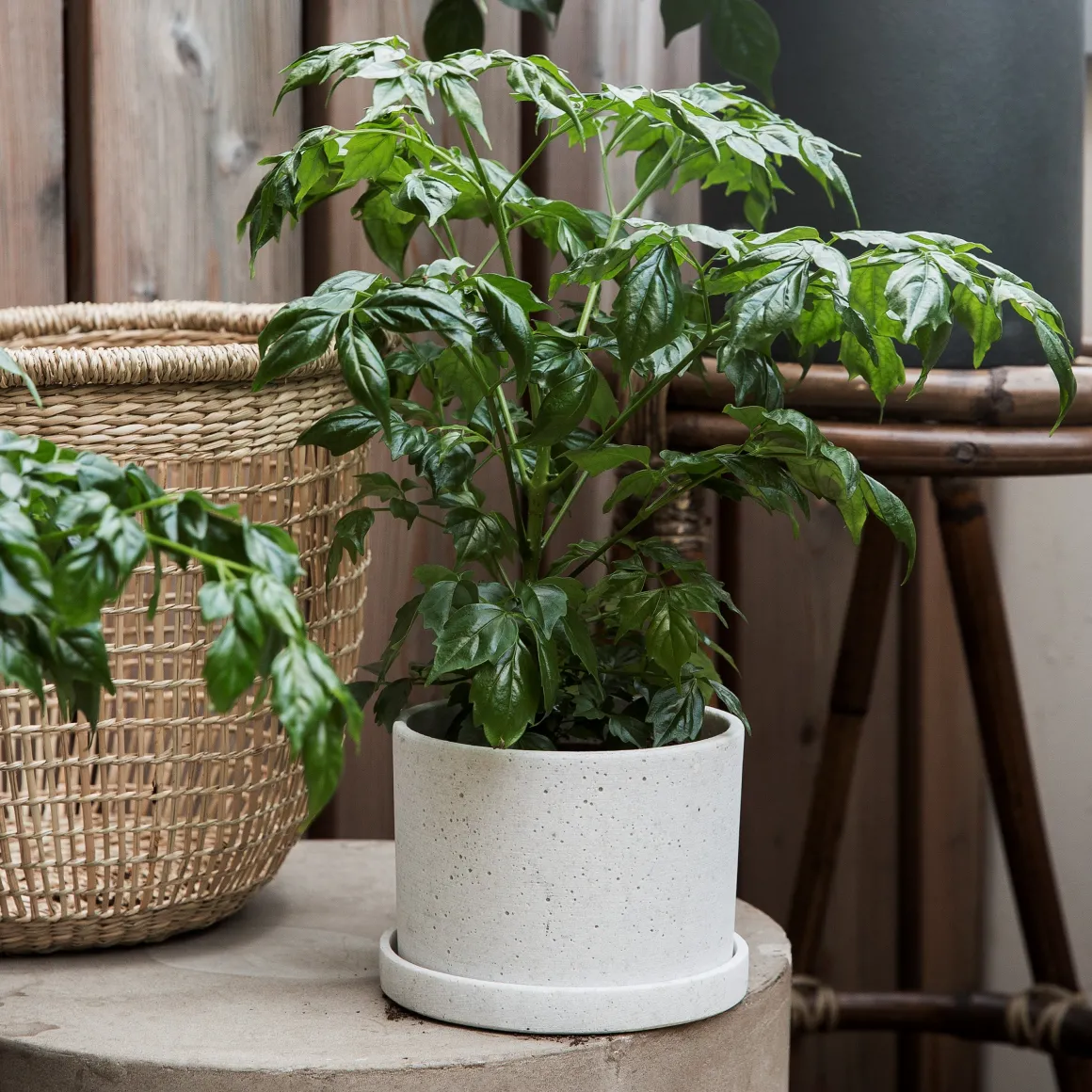 Kruka/Fat Polystone 13cm Vit