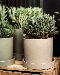 Kruka/Fat Stengods 14cm Beige