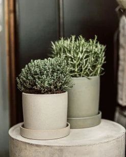 Kruka/Fat Stengods 17,5cm Grön