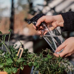 Sprayflaska Glas 0,5L