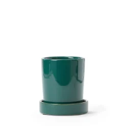 Stengodskruka Krydda 10x11cm Grön