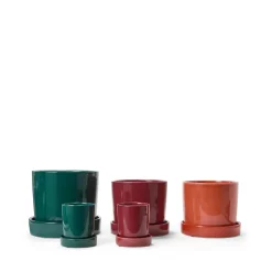 Stengodskruka Krydda 10x11cm Grön