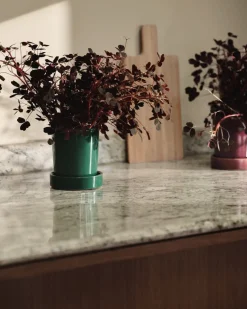 Stengodskruka Krydda 10x11cm Grön