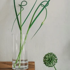 Vas Glas Cylinder 25x12cm