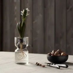 Vas Hyacint Klarglas 15x8cm